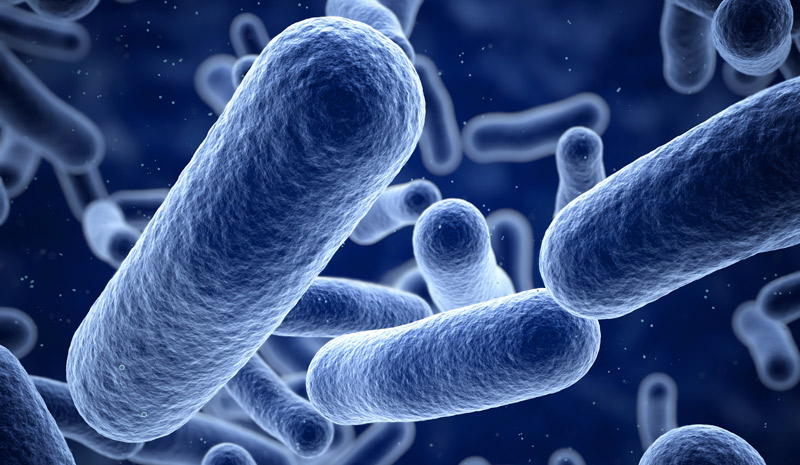 La OMS alertada por la muerte de una mujer por una Súper Bacteria
