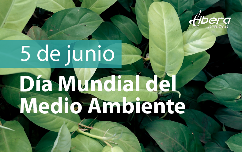 Cuidado del medioambiente en centros de salud: un enfoque sostenible